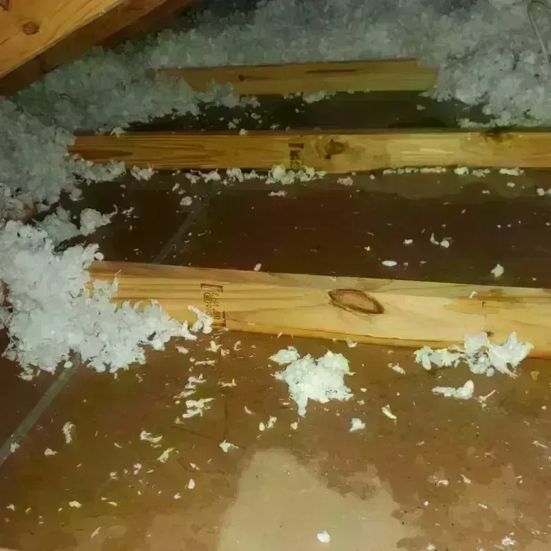 Attic Water Damage in Rockford, MI