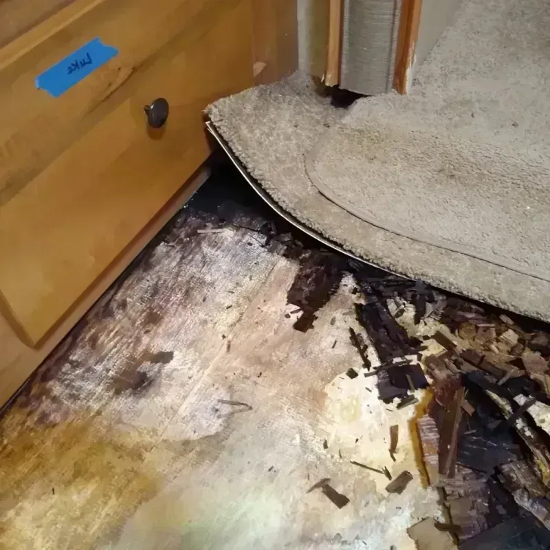 Wood Floor Water Damage in Rockford, MI